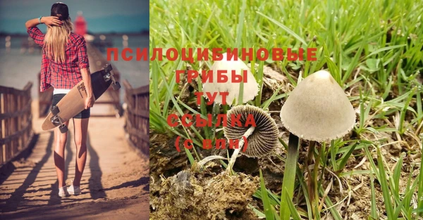 мяу мяу кристалл Баксан