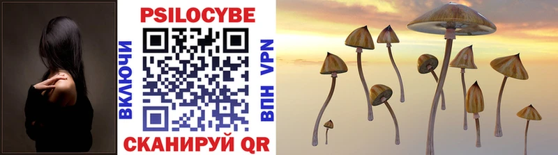 блэк спрут ТОР Кувандык Галлюциногенные грибы Magic Shrooms